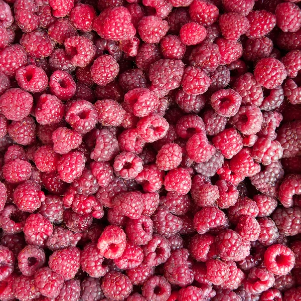 Fondo de fruta de frambuesa — Foto de Stock