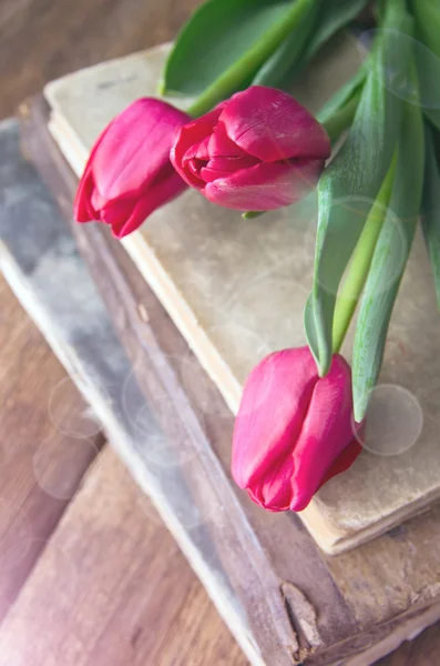 Tulipanes rosados en un montón de libros antiguos — Foto de Stock