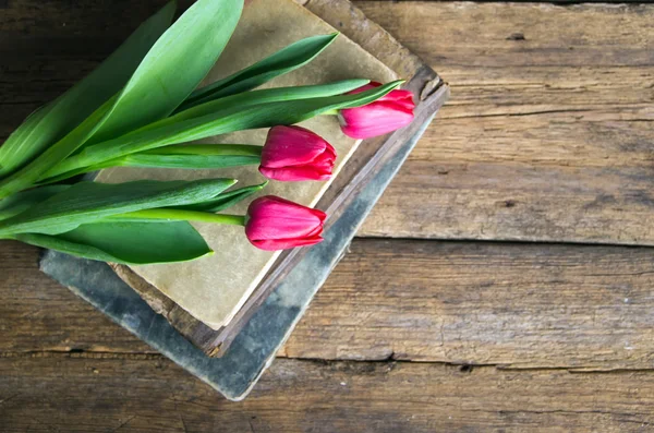 Tulipes roses sur un tas de vieux livres — Photo