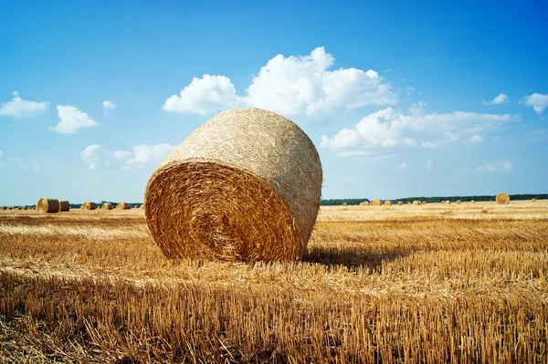 Straw bales on farmland with blue cloudy sky — Stock Photo, Image