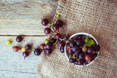 Bektaşi ile taze Frenk üzümü