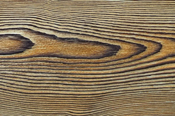 Textura de madeira vintage com nós. Vista para cima de perto. Imagens Royalty-Free