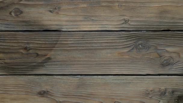 Textura de madera vieja con nudos se mueven de derecha a izquierda. — Vídeo de stock