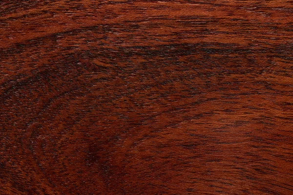 Fondo abstracto de superficie de madera marrón oscuro. Vista superior de primer plano para obras de arte. — Foto de Stock