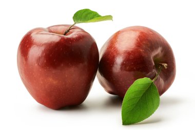 Beyaz arka planda yeşil yapraklı taze kırmızı lezzetli elmalar..