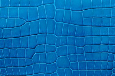 Closeup of seamless blue leather texture clipart