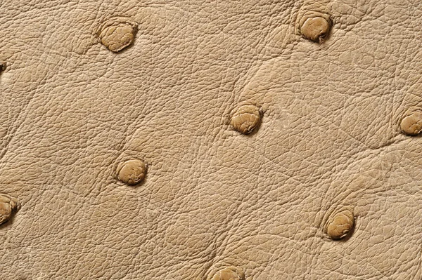 Zbliżenie bezszwowe beżowy skórzany tekstura — Zdjęcie stockowe