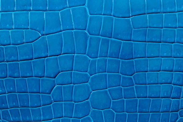 kesintisiz mavi deri dokusu closeup