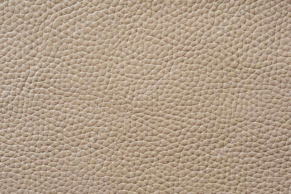 White leather seamless texture Royalty Free Vector Image