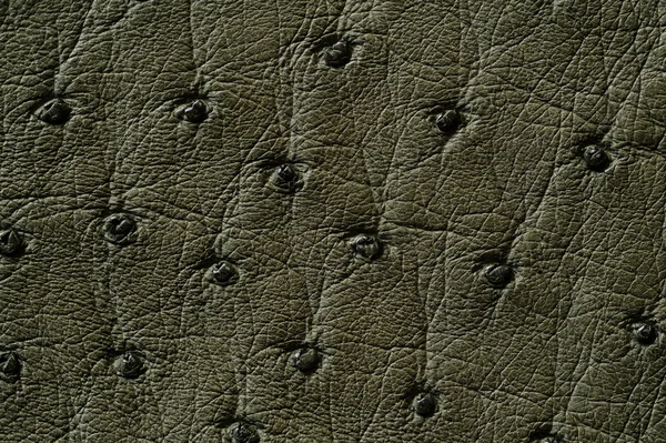 Closeup of seamless green leather texture — Stock Photo, Image