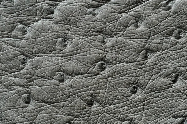 Close-up van naadloze grijs leder texture — Stockfoto