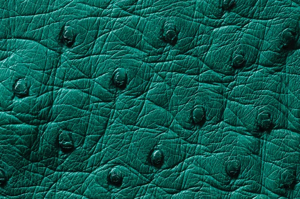 Close-up van naadloze groene leder texture — Stockfoto