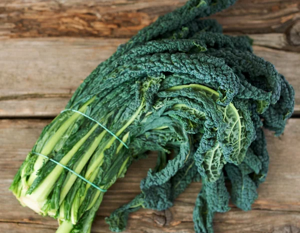 Kale vagy levél káposzta — Stock Fotó