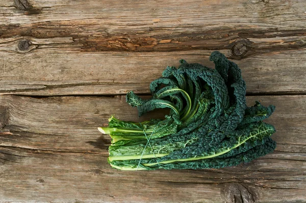 Kale or leaf cabbage — Stock Image Kale or leaf cabbage Stock Picture