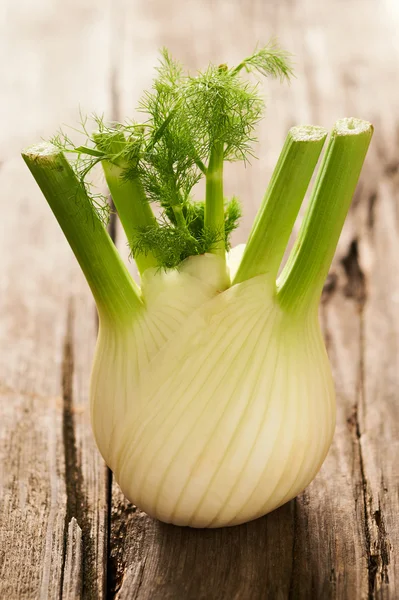 Fresh and tasty fennel — Stock Photo, Image