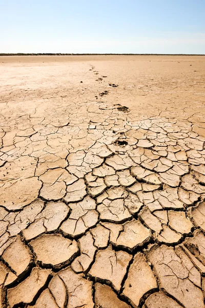 Půda vyprahlá a odpadu — Stock fotografie