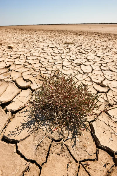 Aride en afval land — Stockfoto