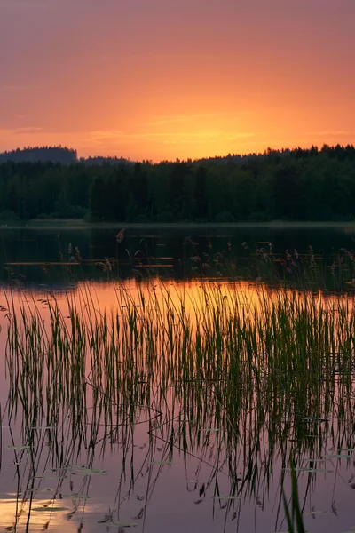 Prachtig Fins landschap — Stockfoto