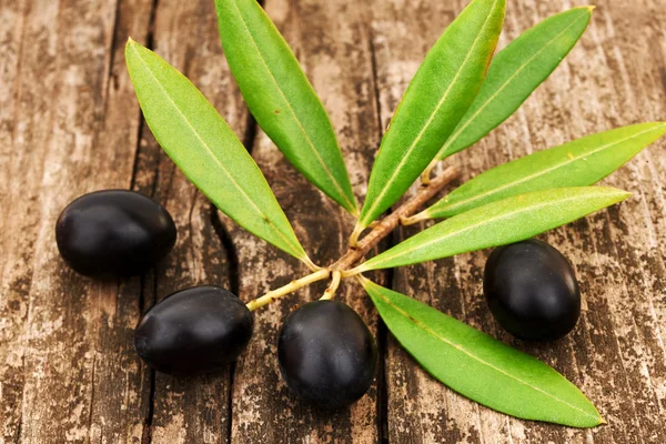 Drei schwarze Oliven — Stockfoto