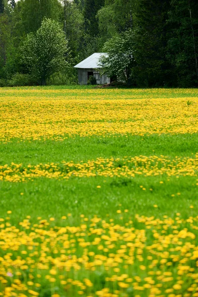 Old barn in a field — Stock Photo, Image