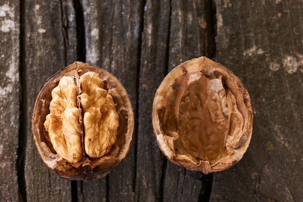 Two  delicious walnuts — Stock Photo, Image