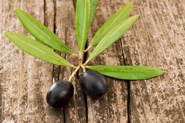 Zwei schwarze Oliven — Stockfoto