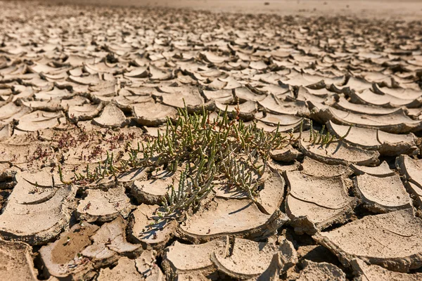 Aride en afval land — Stockfoto