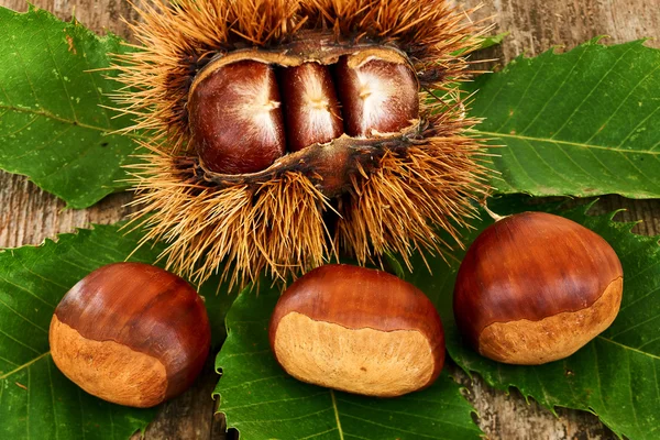 Chestnuts on an old table — Stock Photo, Image