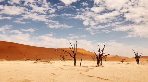 Beau Paysage Dans Désert Namibien Deadvlei — Photo