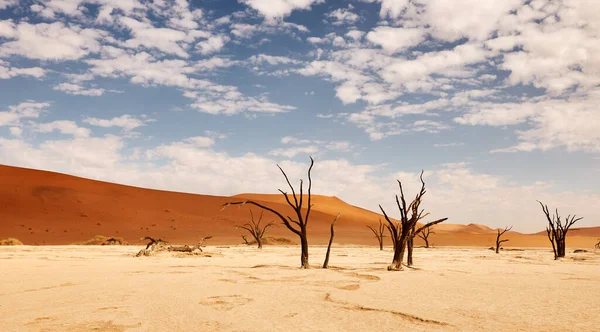 Bela Paisagem Deserto Namíbia Deadvlei — Fotografia de Stock