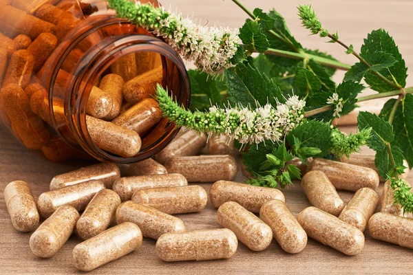 Herbal supplement in capsules Stock Photo by ©LuaAr 158519002