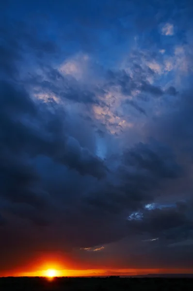 Pôr do sol em serengeti — Fotografia de Stock