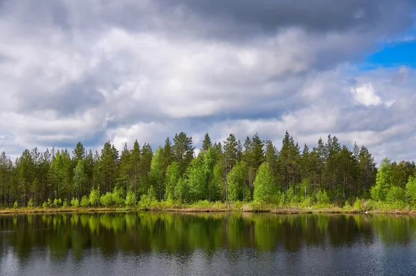 Floresta finlandesa e lago no verão — Fotografia de Stock