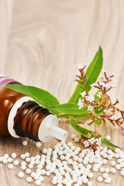 Grânulos homeopáticos espalhados em uma mesa de madeira — Fotografia de Stock