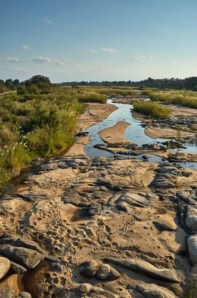 Kleine Afrikaanse rivier — Stockfoto