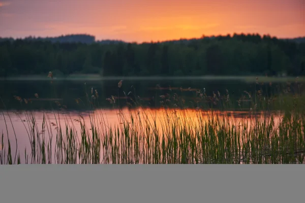 Финское озеро на закате с намеренно размытым фоном — стоковое фото