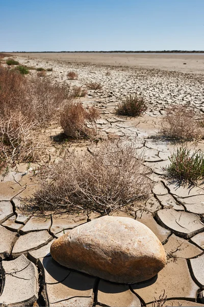 Desertification — Stock Photo, Image