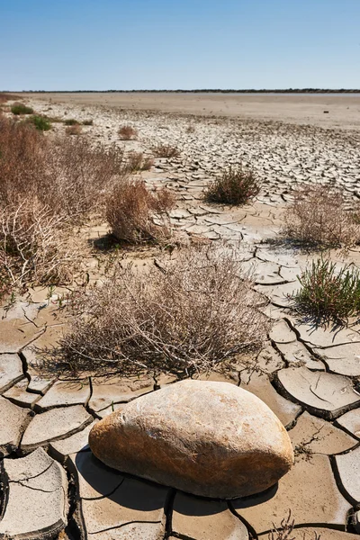 Desertificación — Foto de Stock