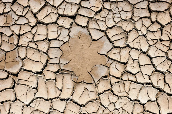 Grond gekraakt door de droogte — Stockfoto