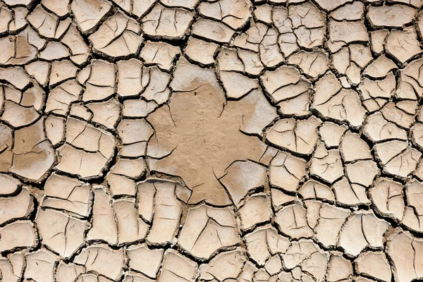 Terreno agrietado por la sequía — Foto de Stock