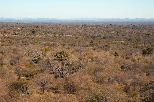 Landskap i Sydafrika — Stockfoto