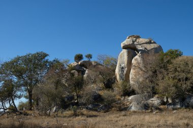 Güzel Güney Afrikalı manzara