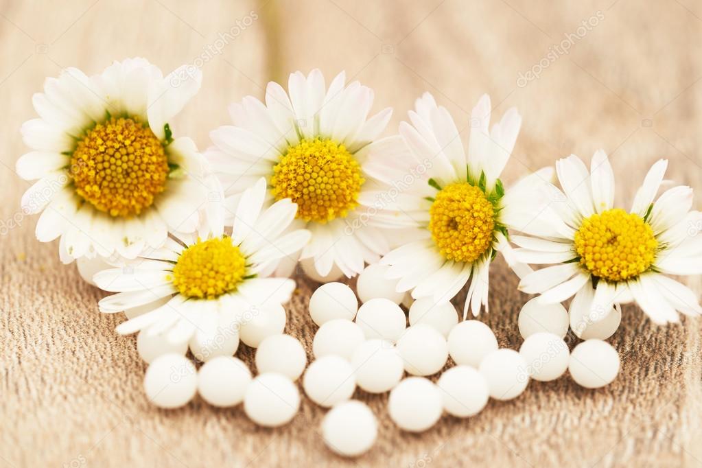 homeopathic globules and daisies