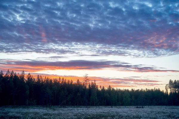 Paisagem finlandesa ao amanhecer — Fotografia de Stock