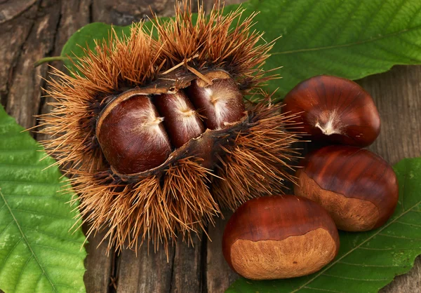 Castanhas em uma mesa velha — Fotografia de Stock