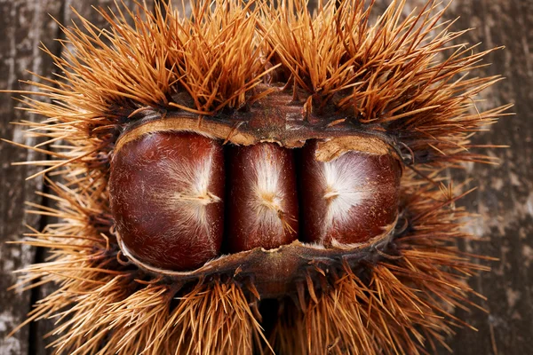 Castagne su un vecchio tavolo — Foto Stock