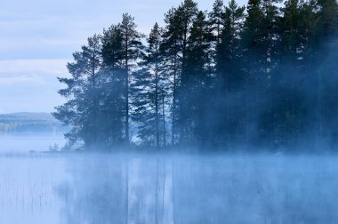 Finnish Lake with fog clipart