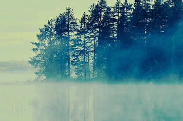 Финское озеро с туманом — стоковое фото