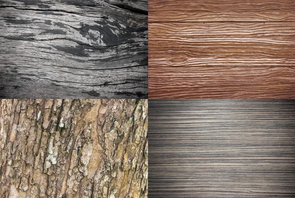Drewna tekstura tło kolekcji lub drewna — Zdjęcie stockowe