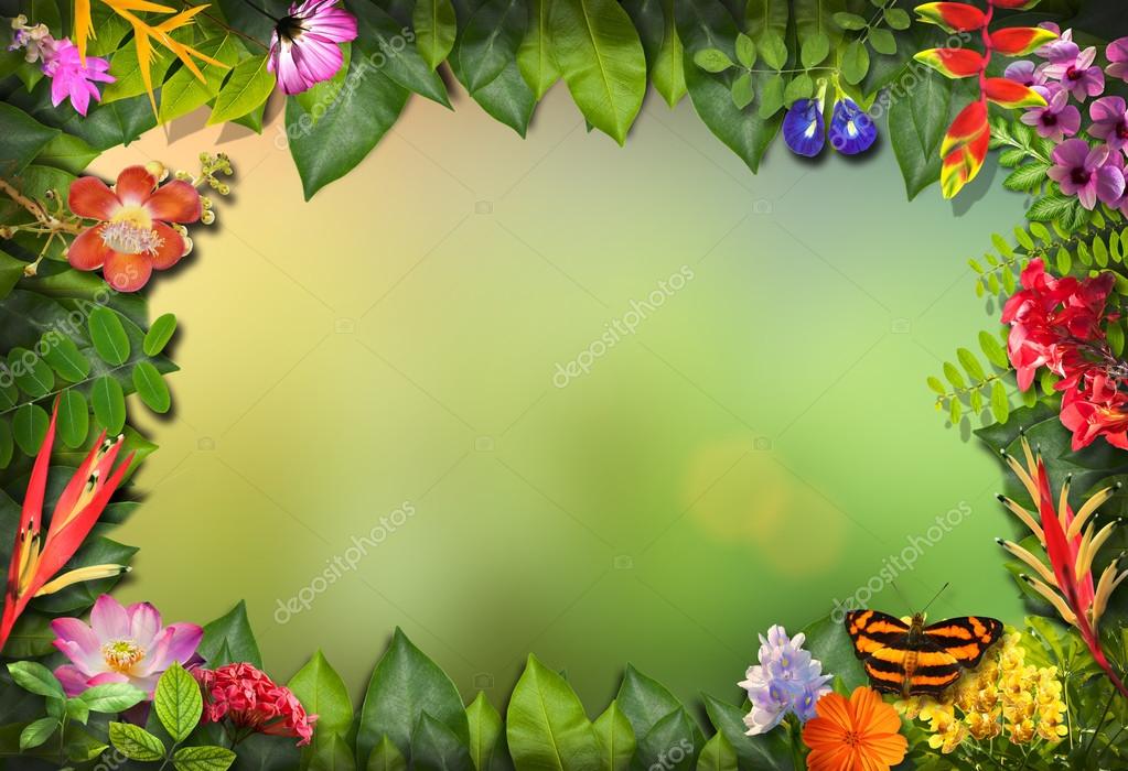 Nature border with flower and green leaf background — Stock Photo